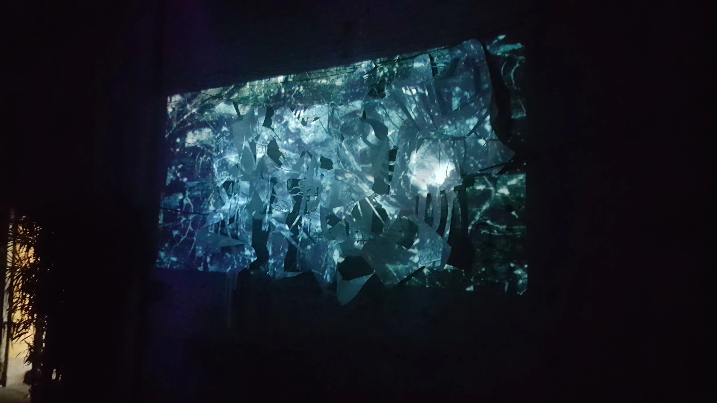   Paper Projection,  Williamsburg NY 