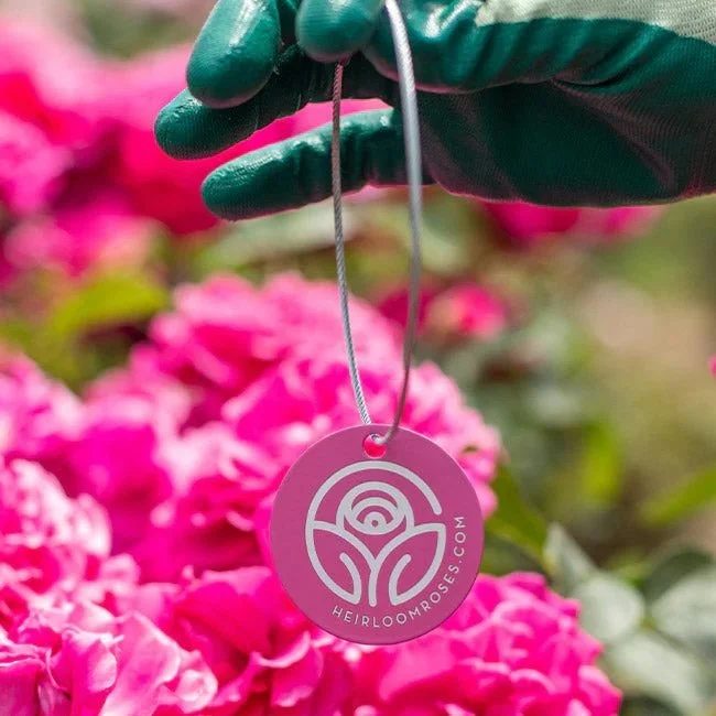 Heirloom Roses Streamline Production — A.R.E. Manufacturing Inc.