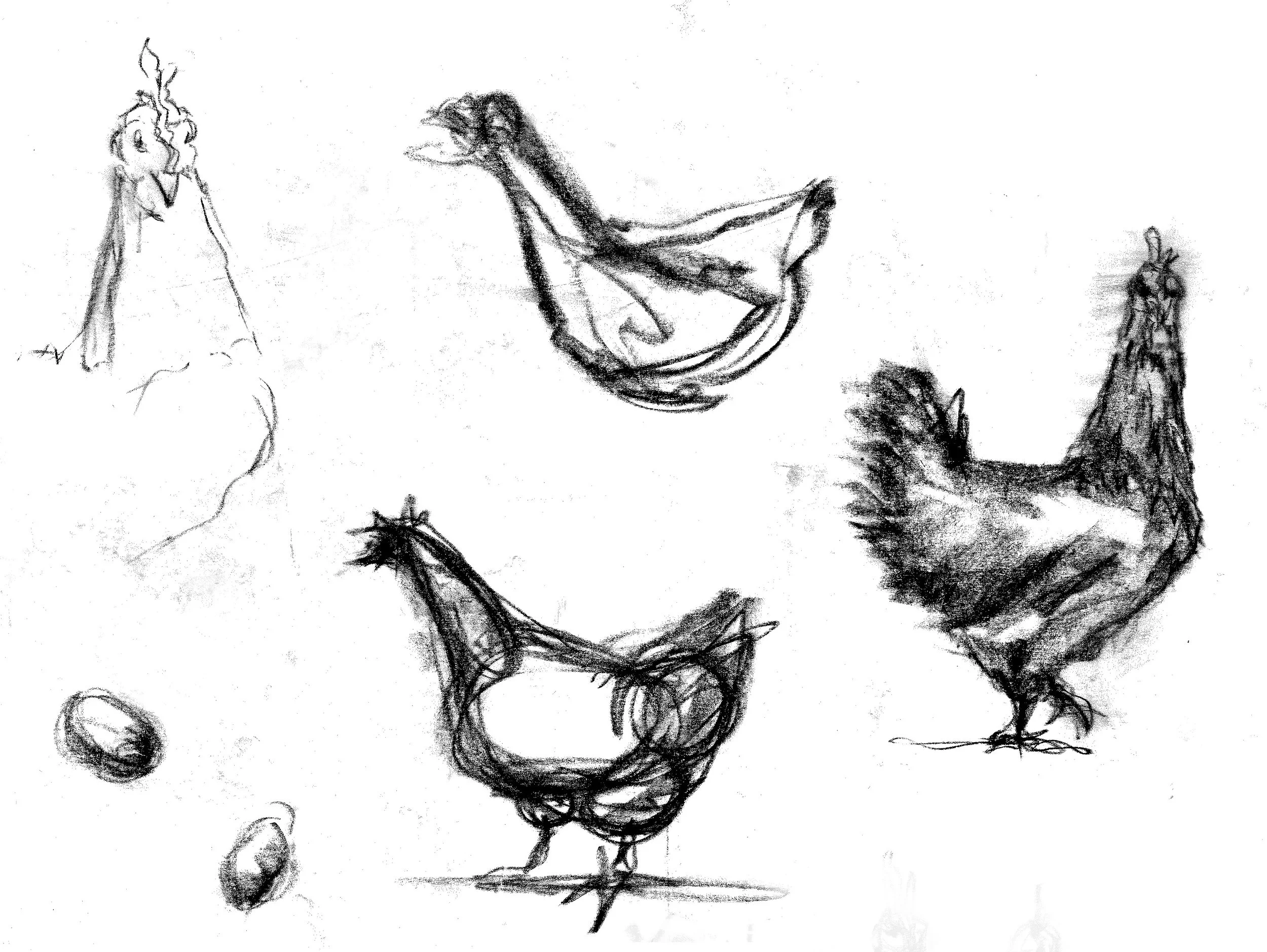 PFS 2015 SKETCH C.jpg