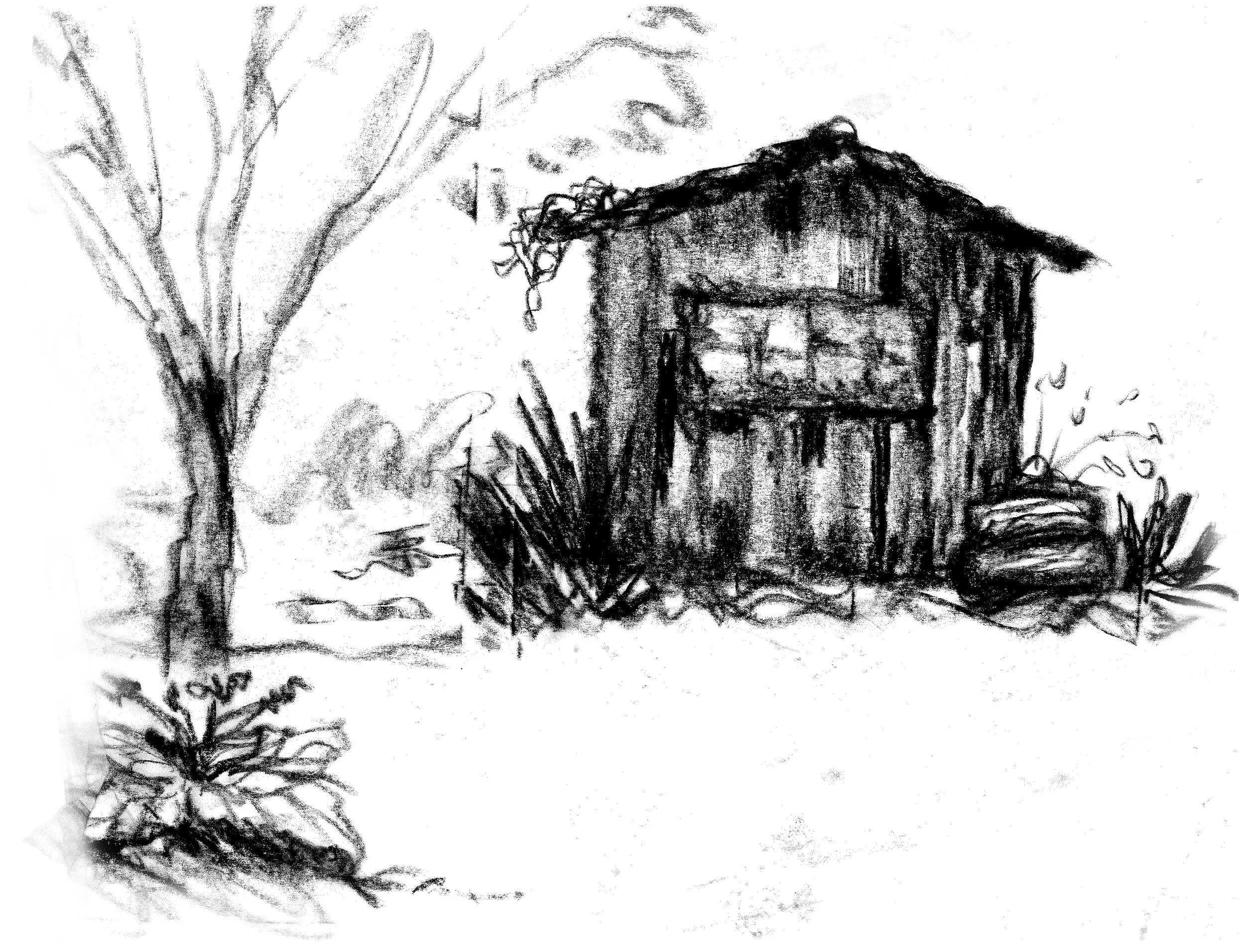 PFS 2015 SKETCH E copy.jpg