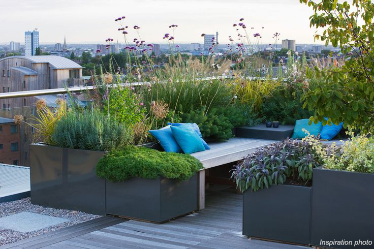 plantings.jpg