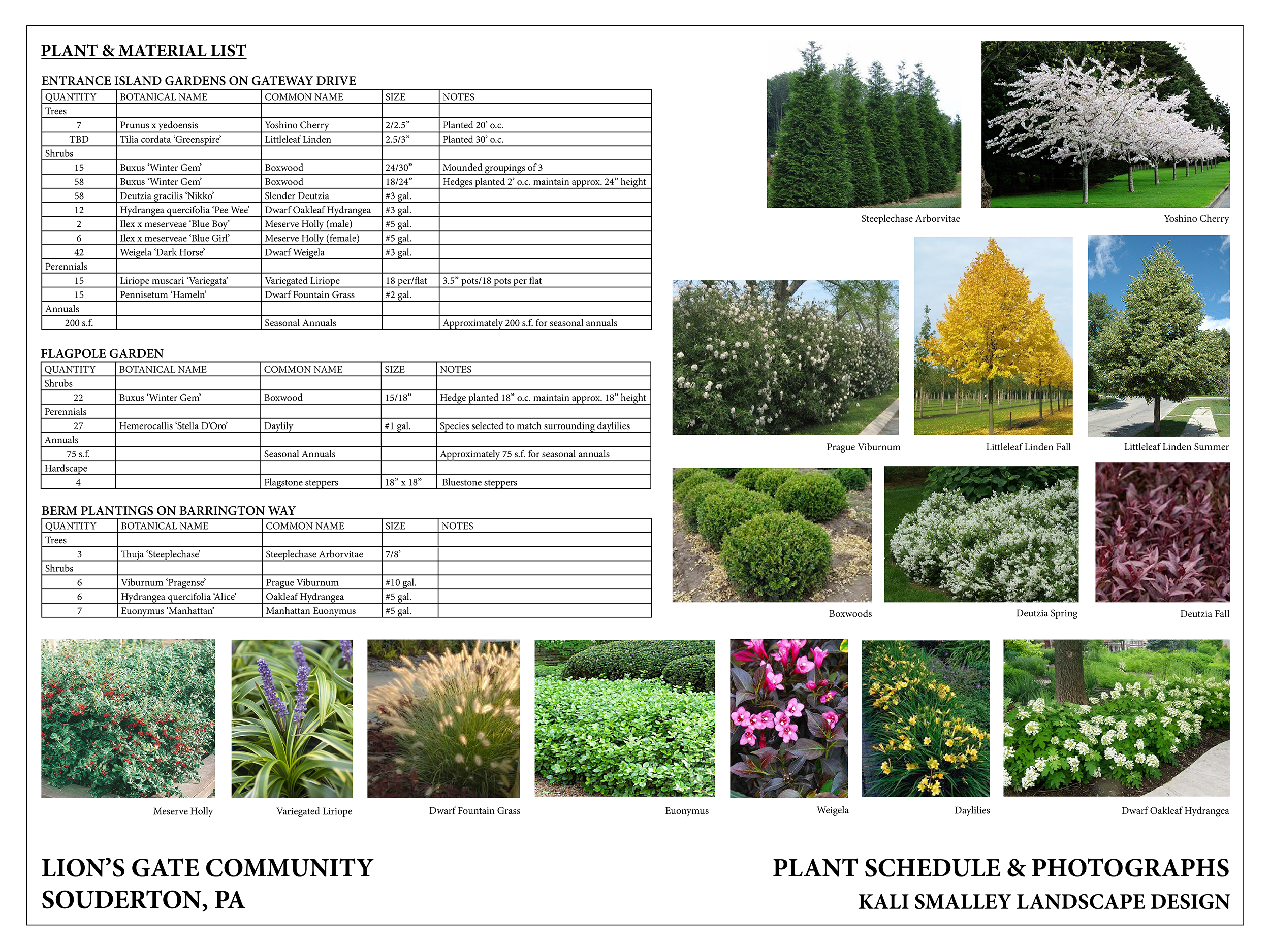 PLANT SCHEDULE AND PHOTOS.png