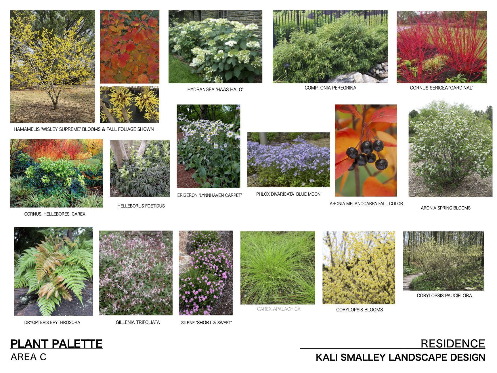 plant palette.jpg
