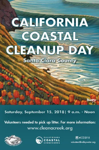 creek clean up 3.jpg