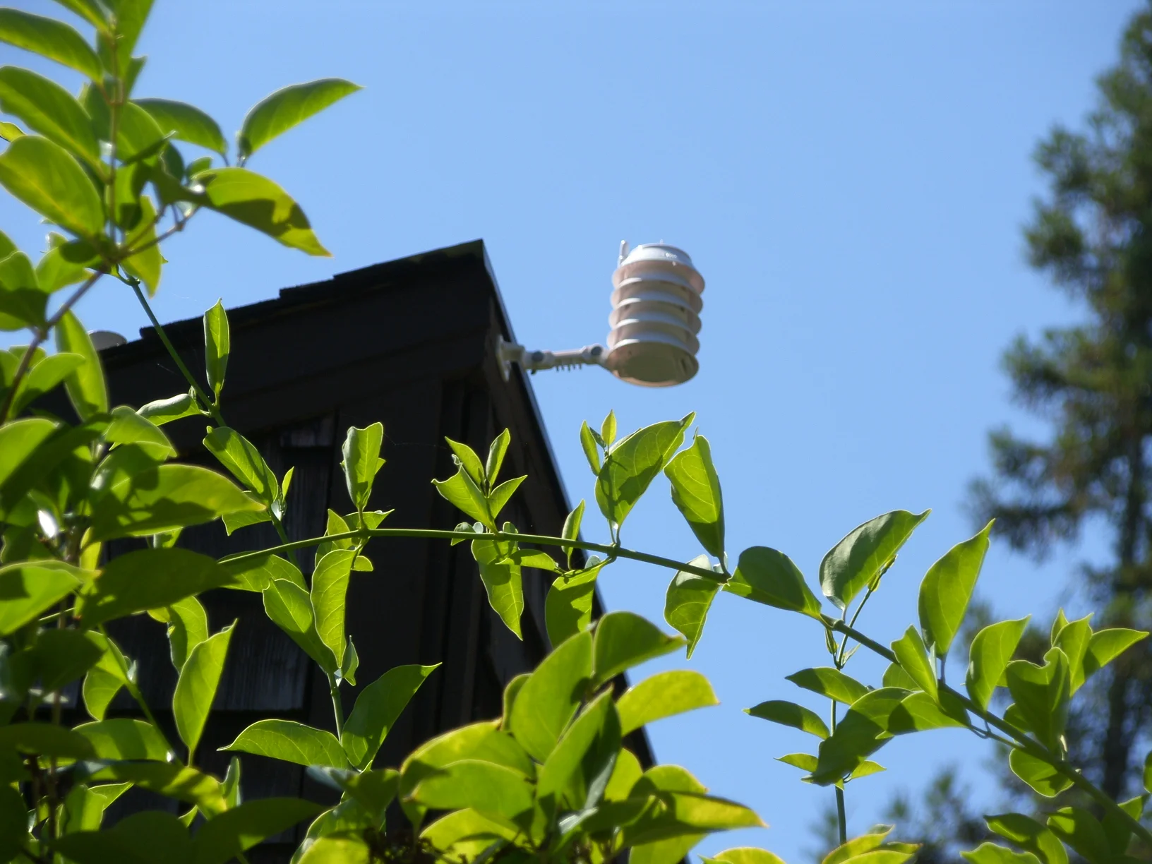 Irrigation Equipment Upgrade and Landscape Water Use Efficiency in Palo Alto