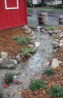 Rain Garden Plant Selection and Installation - San Jose