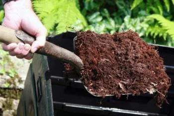 Composting With Worms - Los Altos