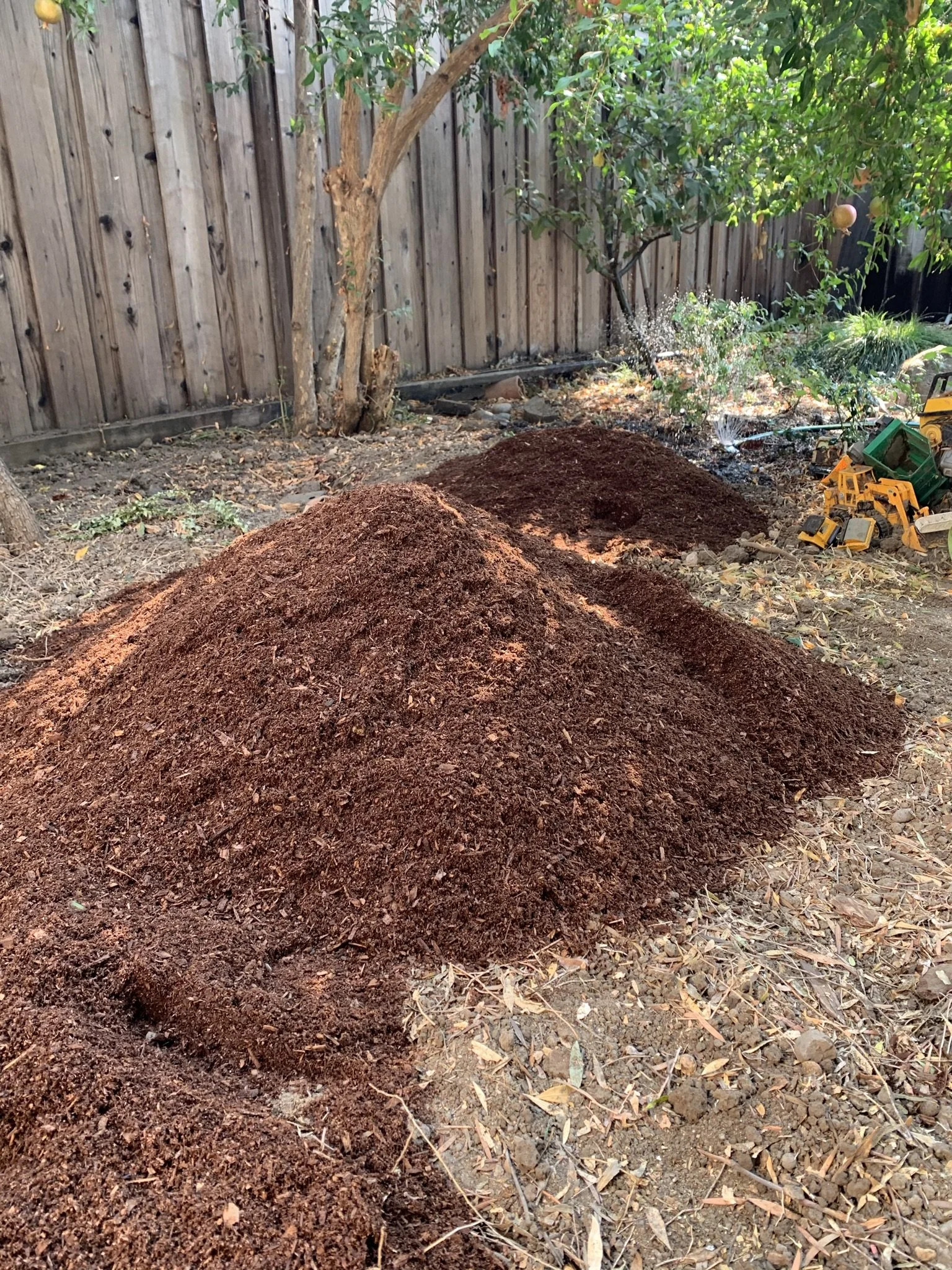 Composting Basics Workshop (online)