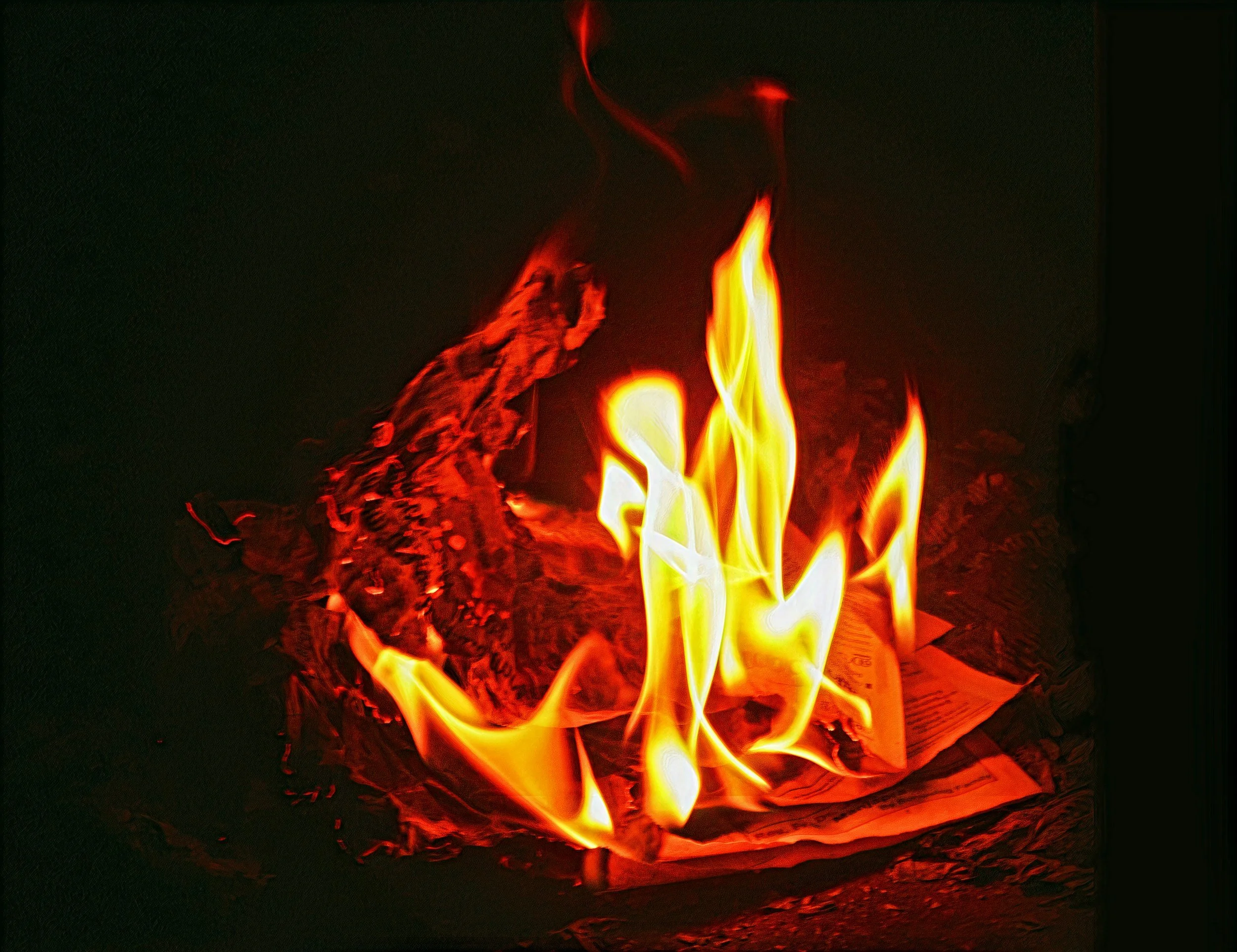 Firescaping 101
