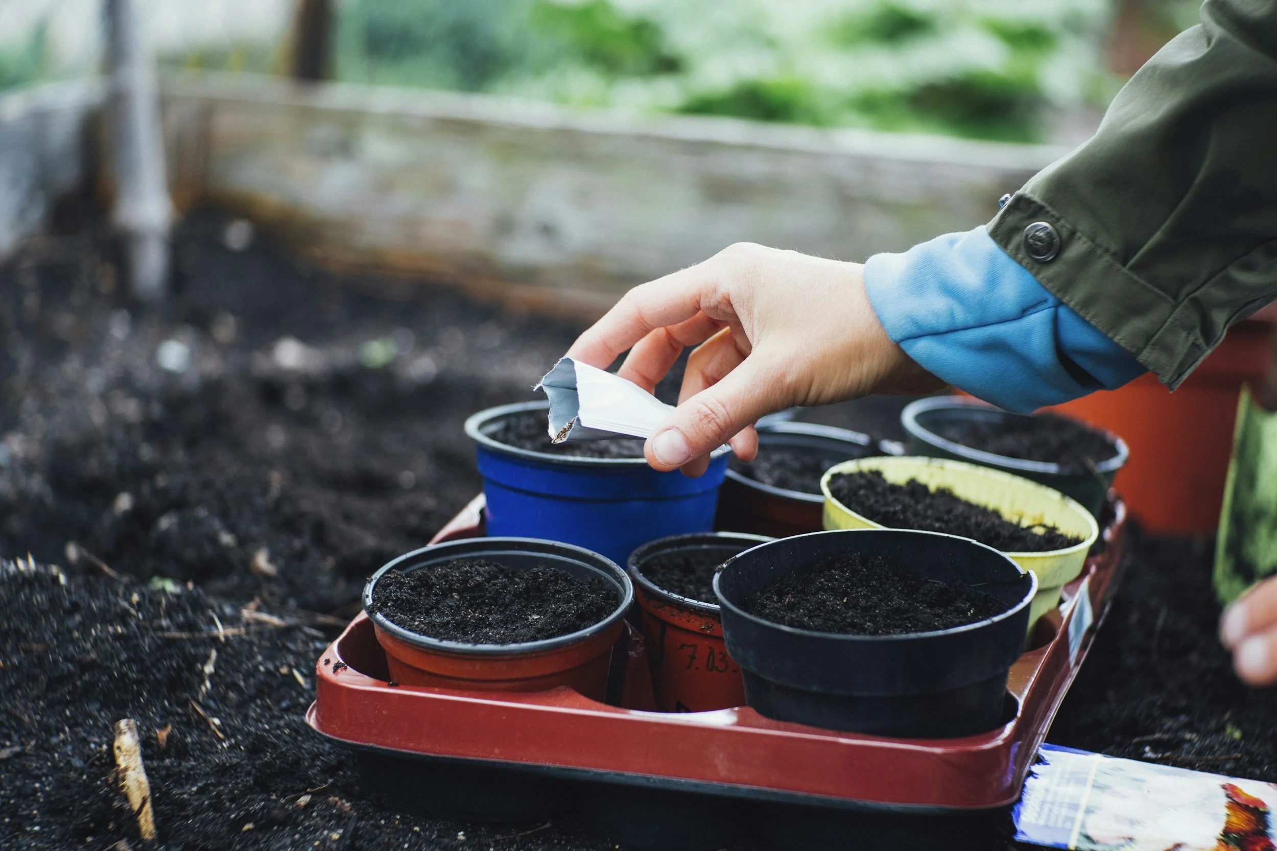 Seed Processing