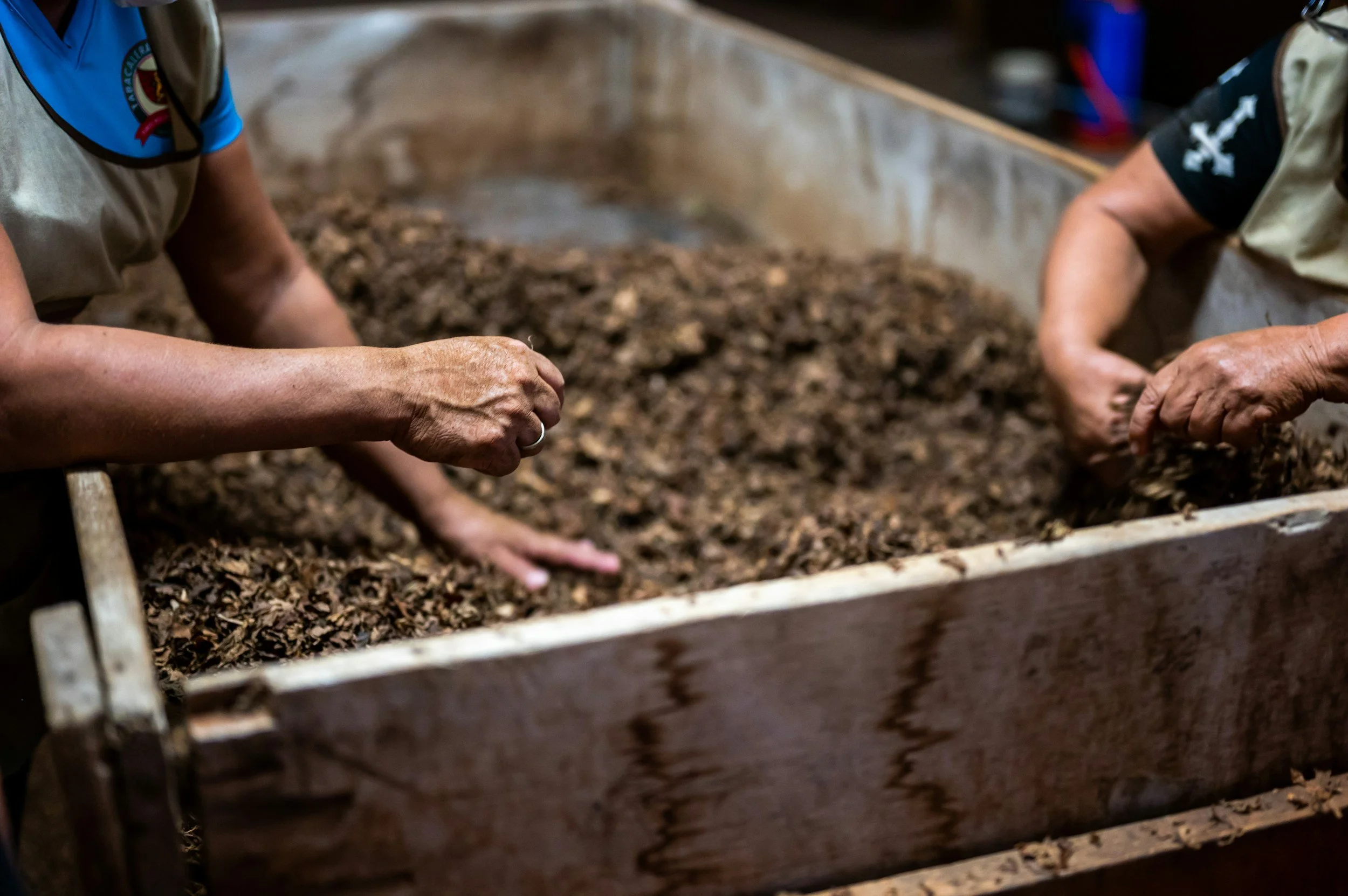 Nursery Stewardship Day: Composting