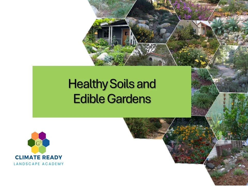 CRLA: Healthy Soils and Edible Gardening – Valley Water