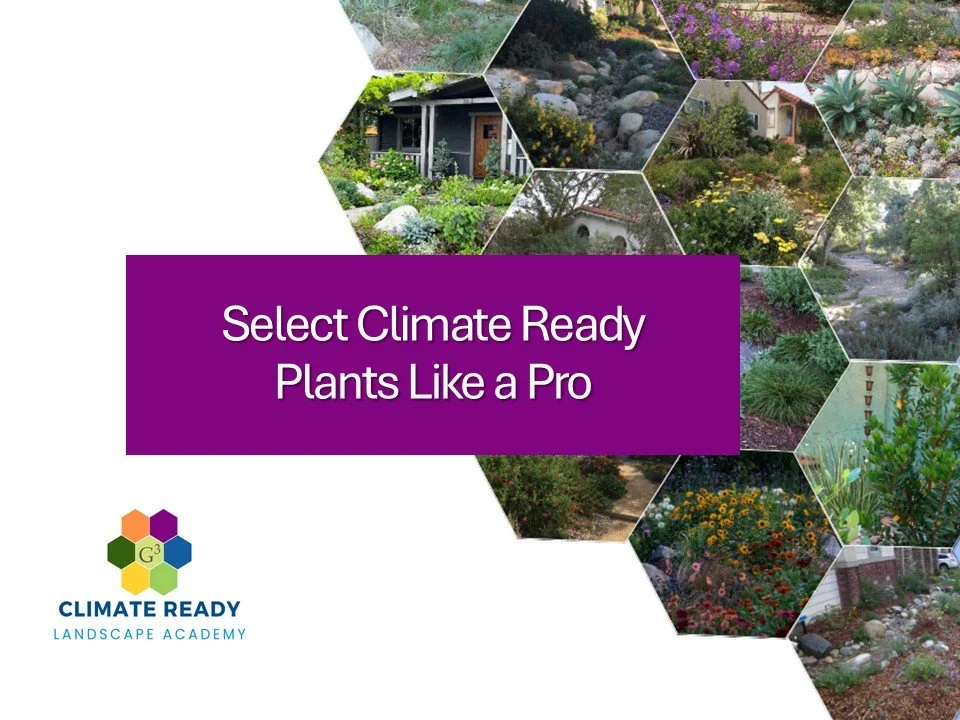 CRLA: Select Climate Ready Plants Like a Pro – Valley Water