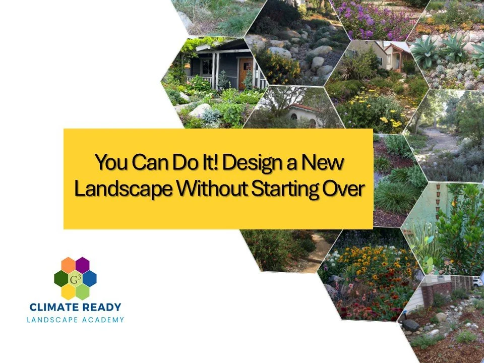 CRLA: You Can Do It! Design a New Landscape Without Starting Over – Valley Water
