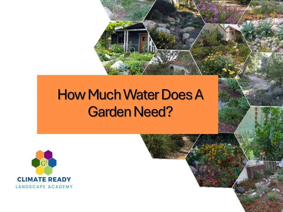 CRLA: How Much Water Does a Garden Need? – Valley Water