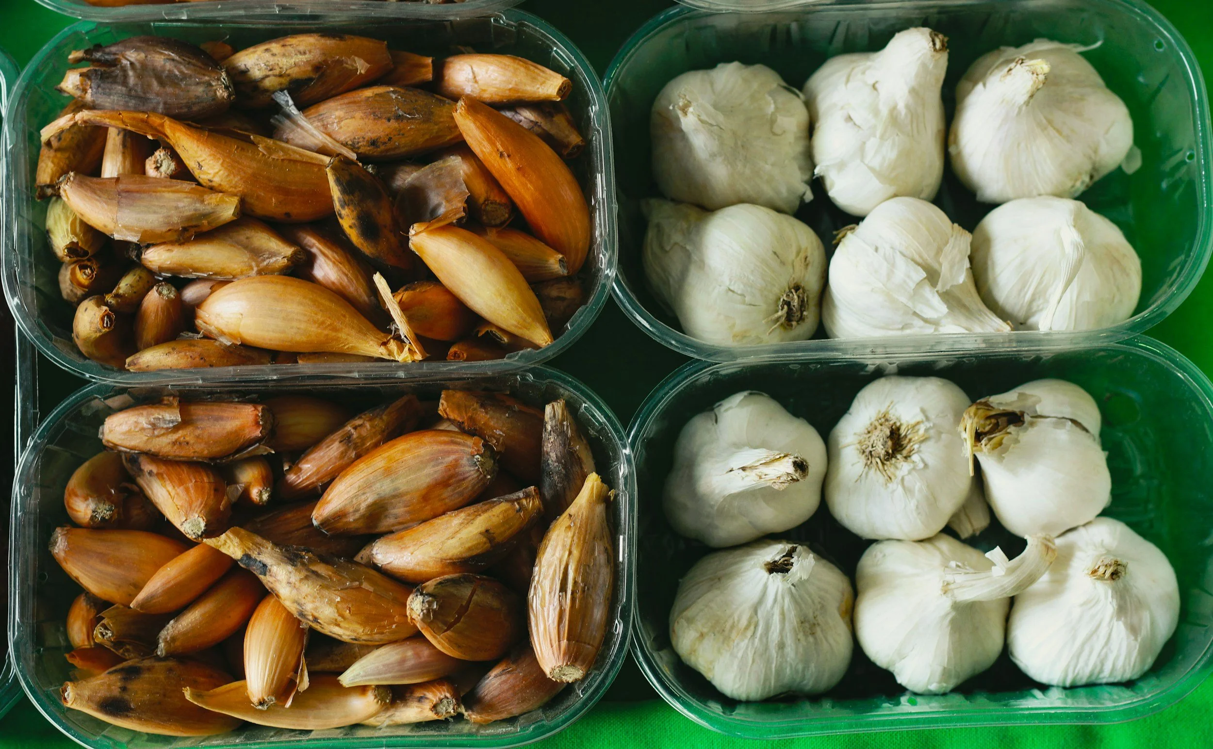 Winter’s Bounty: Growing Great Garlic & Shallots
