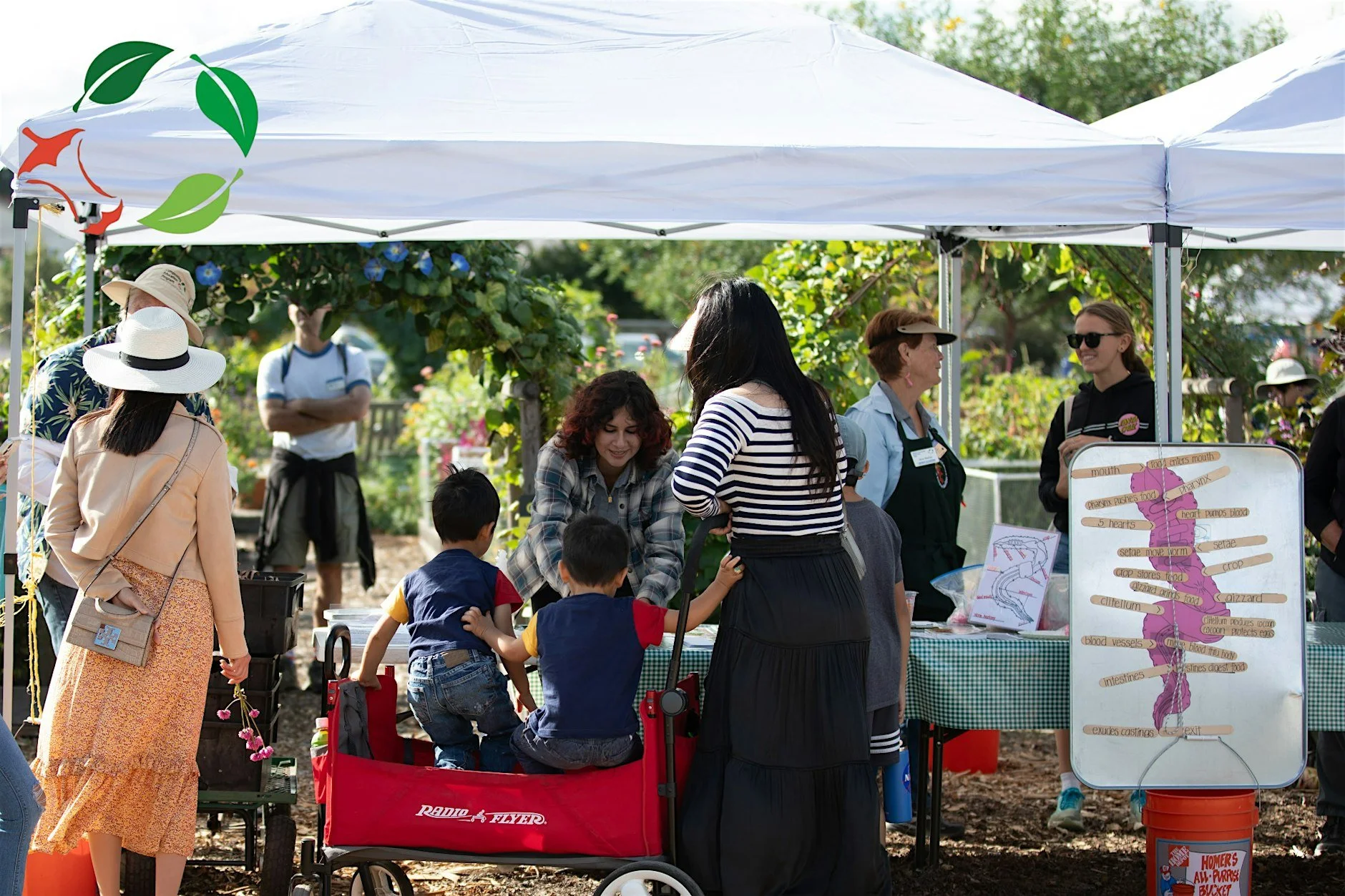 Cupertino- Composting Basics Workshop