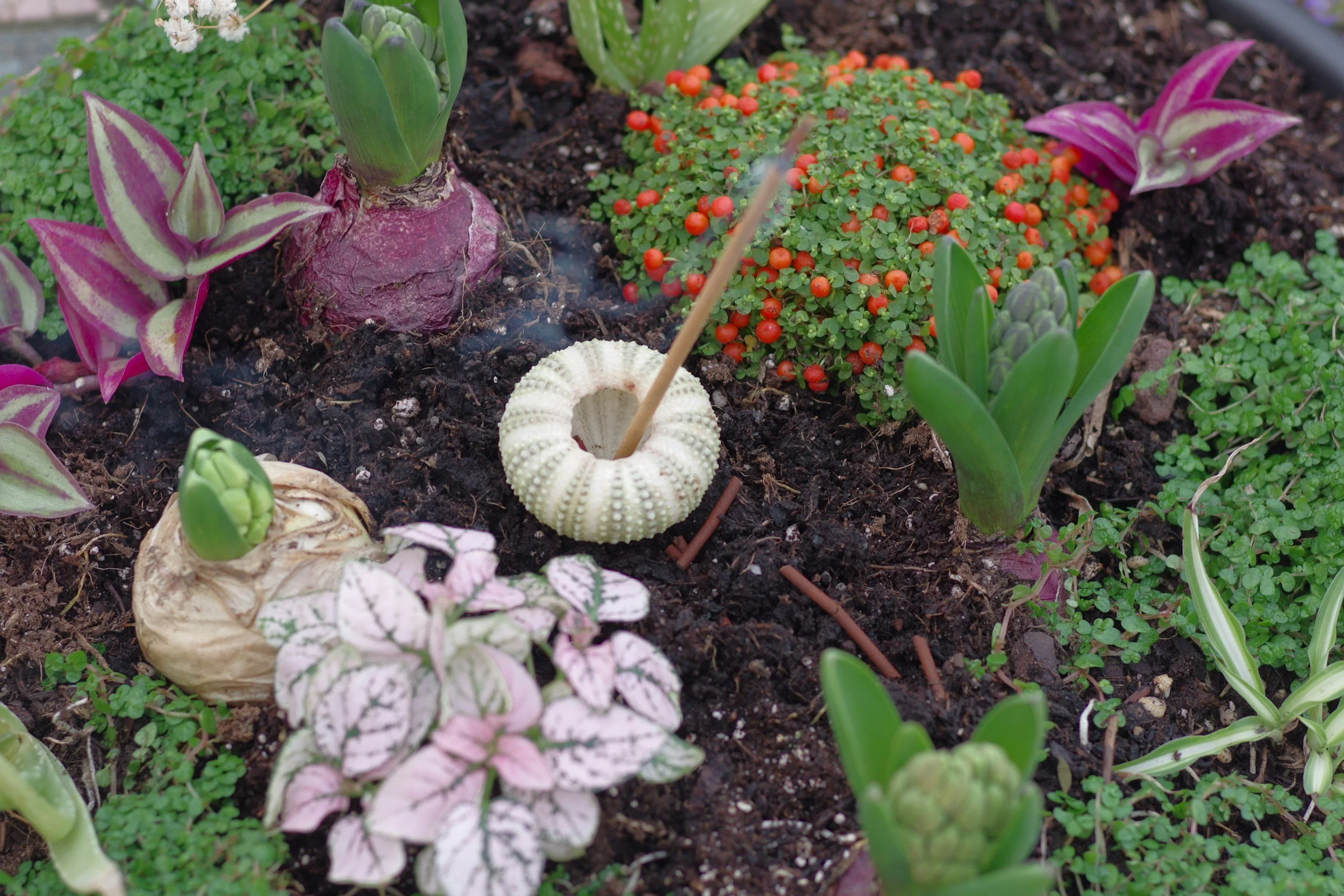 Fall and Winter Gardening for Beginners