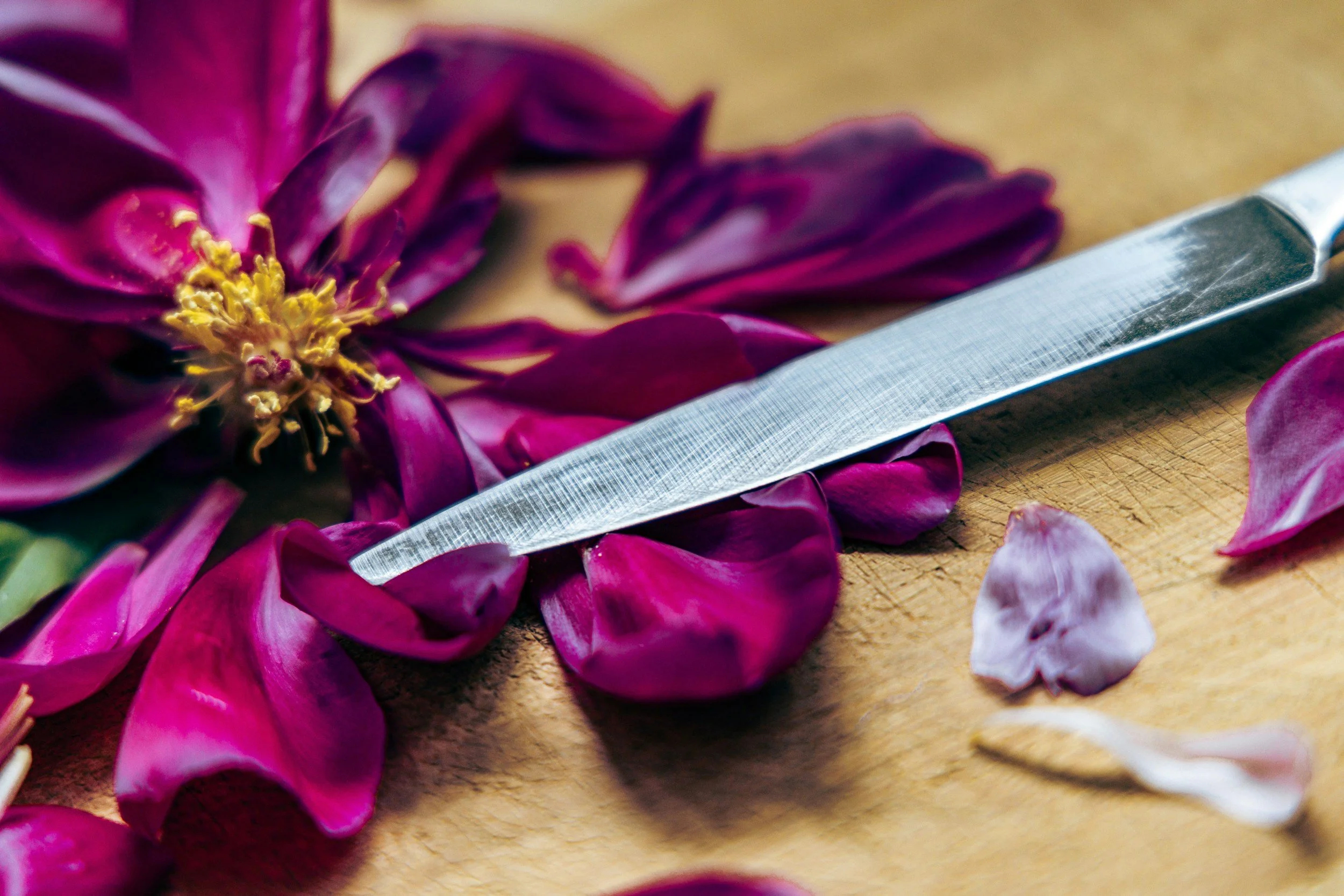 MCP Flower Cutting and Arranging Workshop