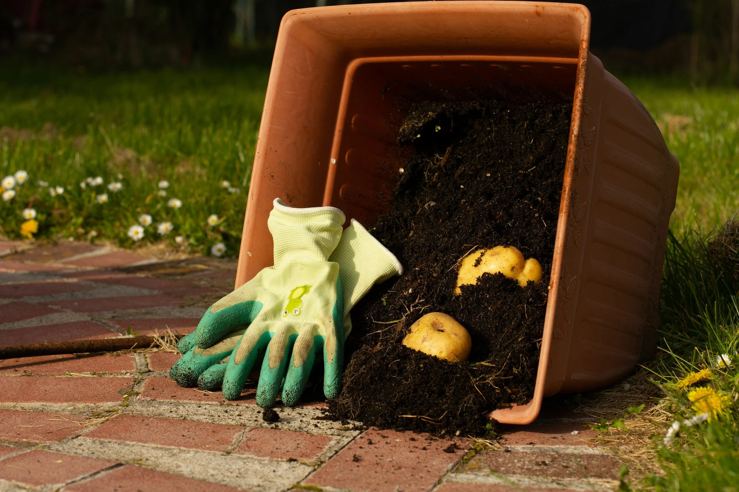 PADG The Power of Compost in a Garden