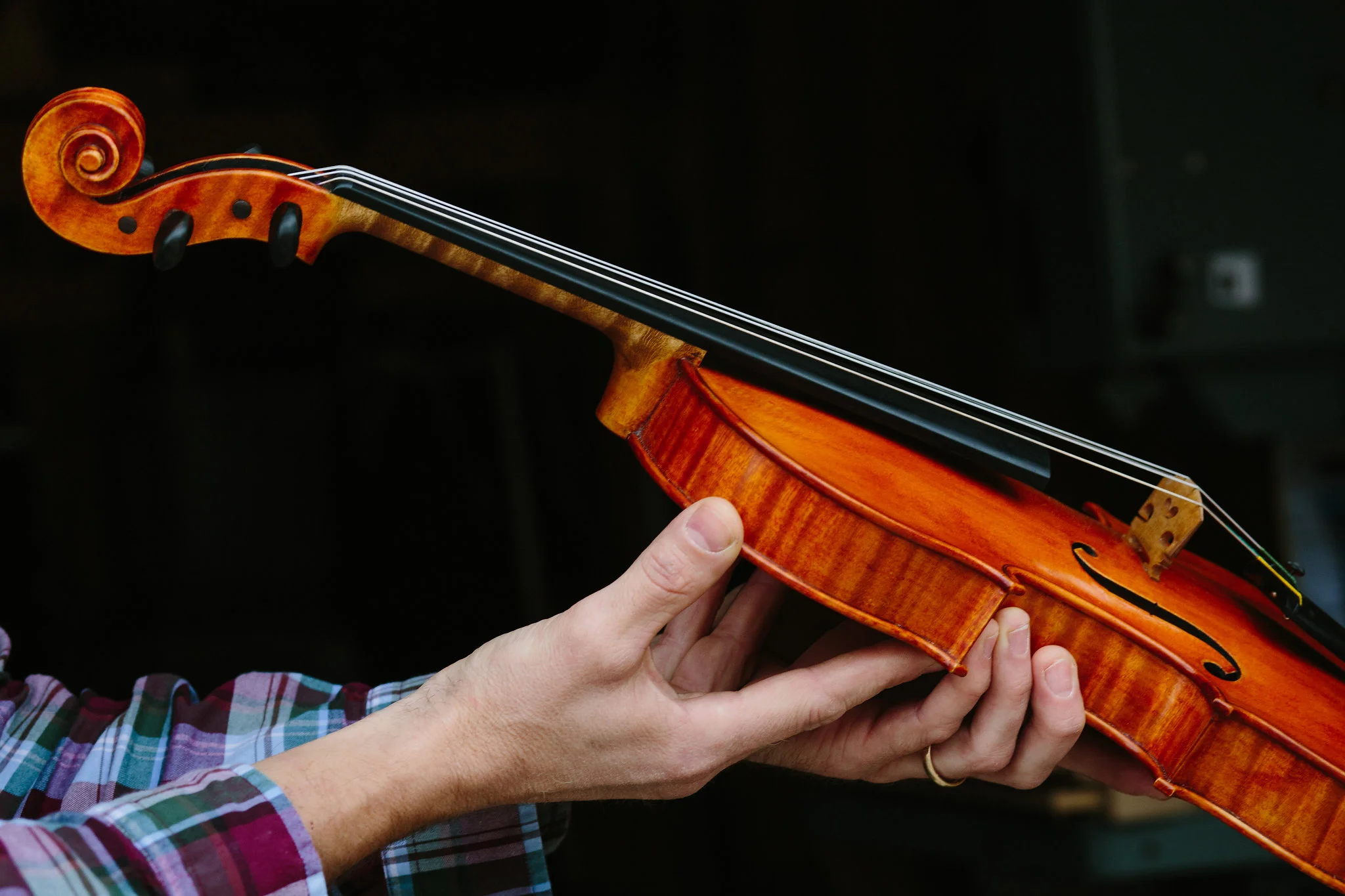 ralexwilsonfineviolins_P1_feb2017_jenniferleahyphotography-untitled-5354067.jpg