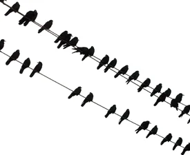 VIPIRG Annual General Meeting