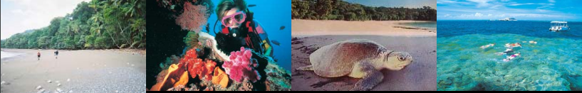 Global Trends in Coastal Tourism 