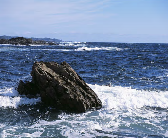 Review of the Environmental and Socio-economic Impacts of Marine Pollution in the North and Central Coast Regions of British Columbia
