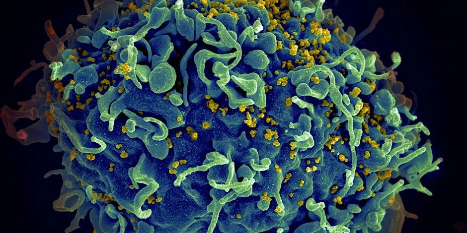 Healing Together: Indigenous Resilience in the Face of HIV