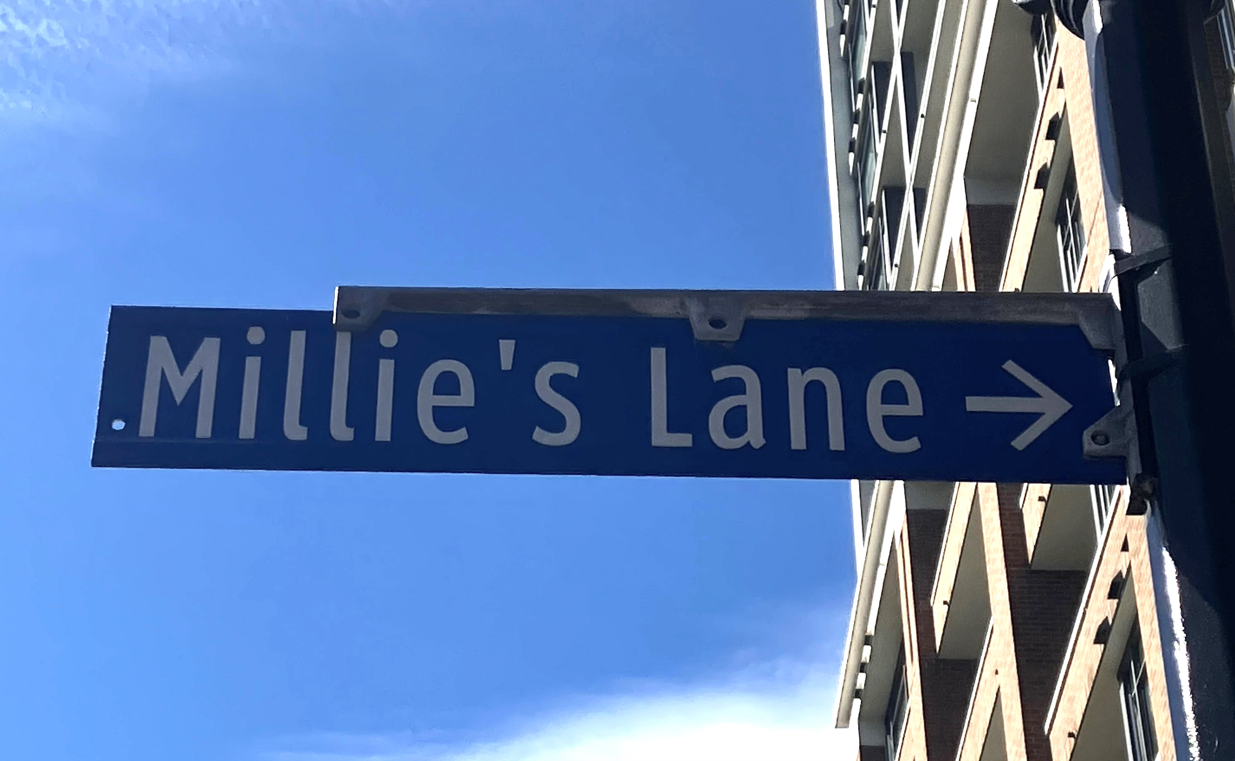 Millie's Lane Block Party