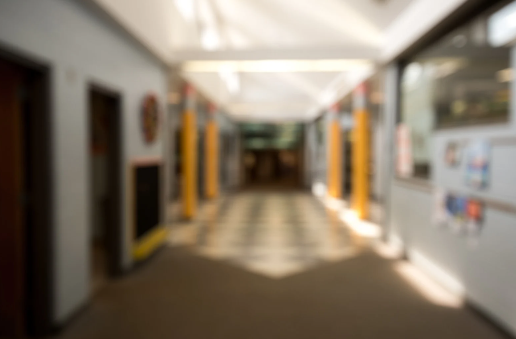 Reflections on the ARIE Project: Advancing Anti-Racism in BC Schools