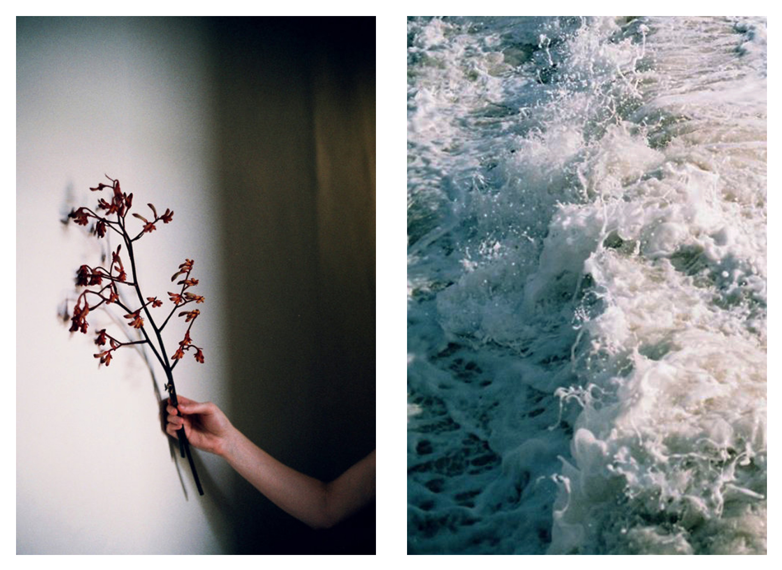 Leah Jing McIntosh’s photography