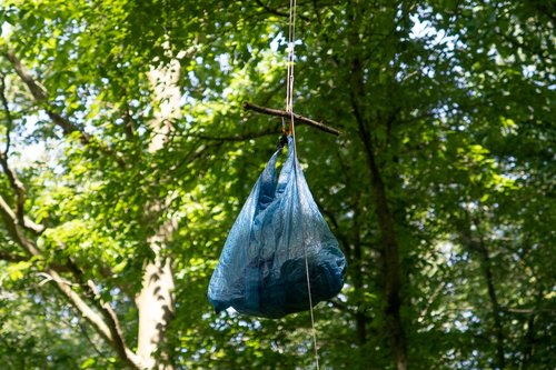 How to Hang a Bear Bag: The Right Way — Into the Backcountry