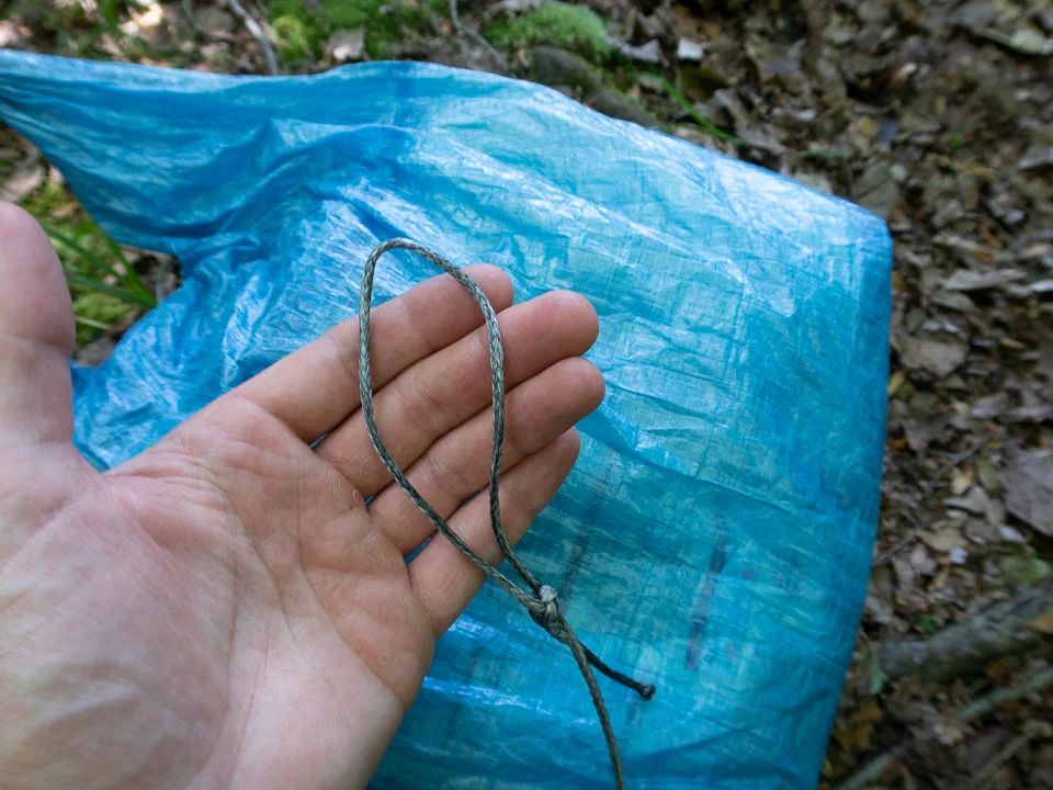 How to Hang a Bear Bag The Right Way — Into the Backcountry