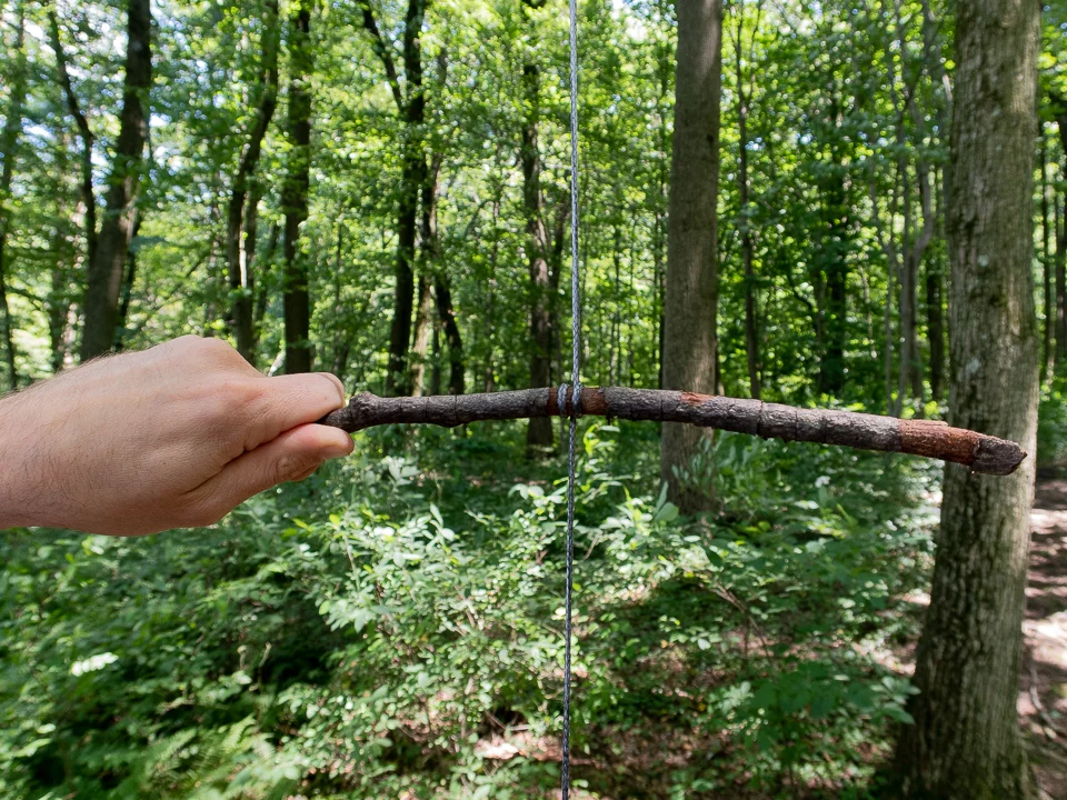 How to Hang a Bear Bag The Right Way — Into the Backcountry