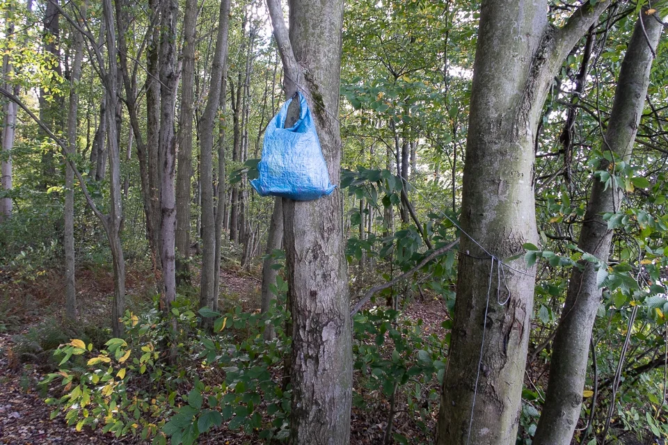 wrong way to hang a bear bag