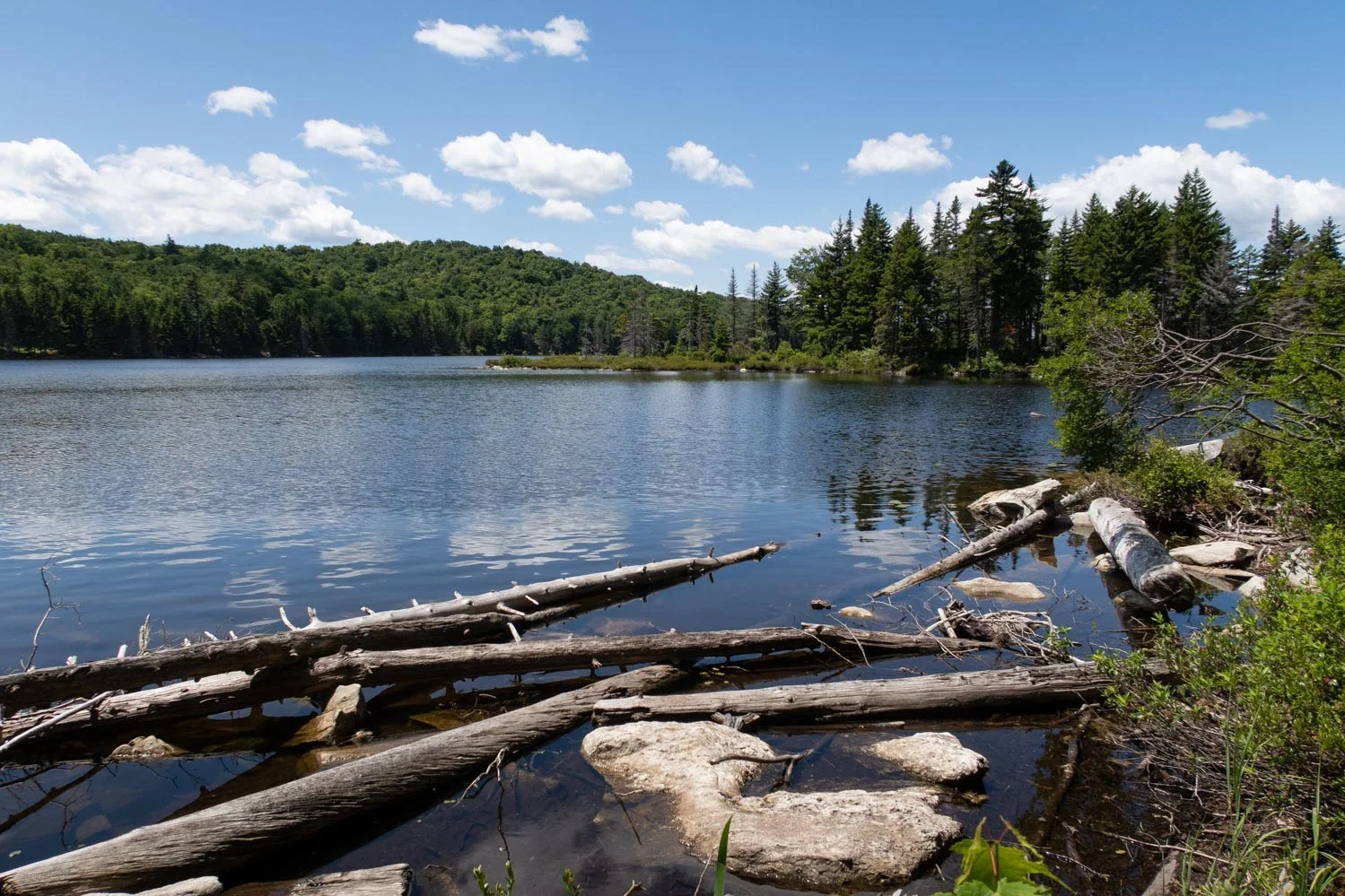 stratton pond