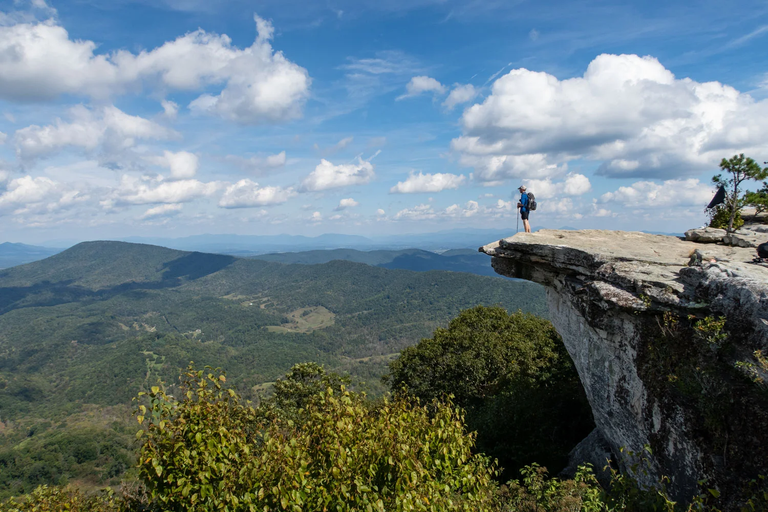Mcafee knob