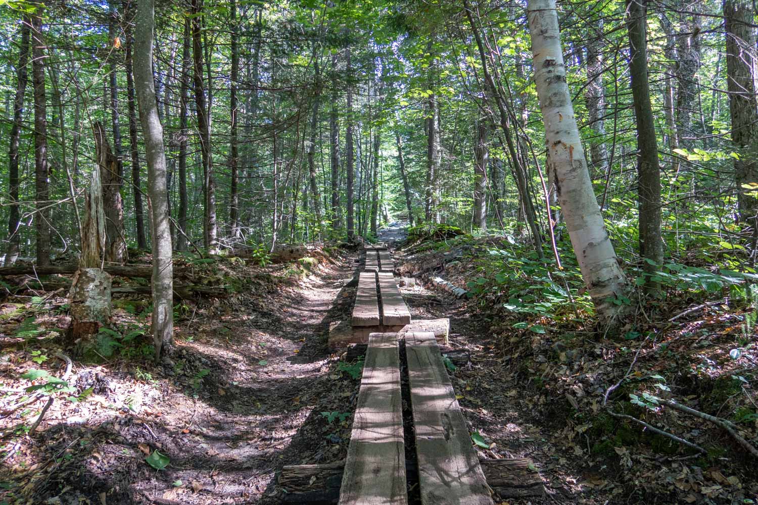 adk boardwalk.jpg