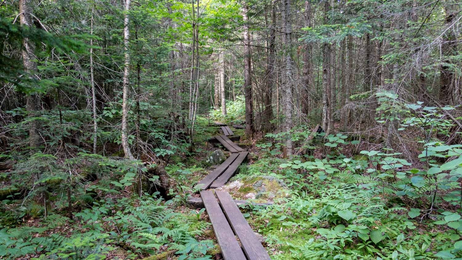 The Long Trail, Vermont