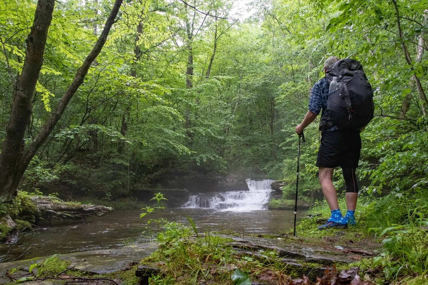 gregory optic 48 pack