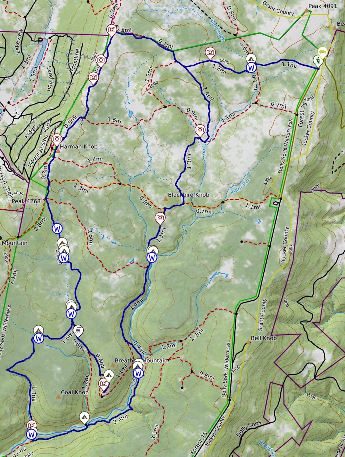Dolly Sods Wilderness Loop Backpacking Guide — Into the Backcountry - Dolly+soDs+loop+map