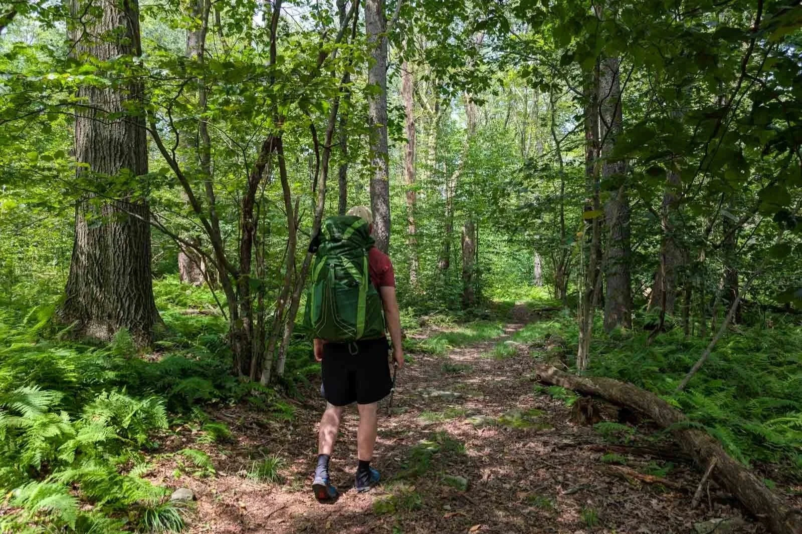 backpacking the laurel highlands hiking trail