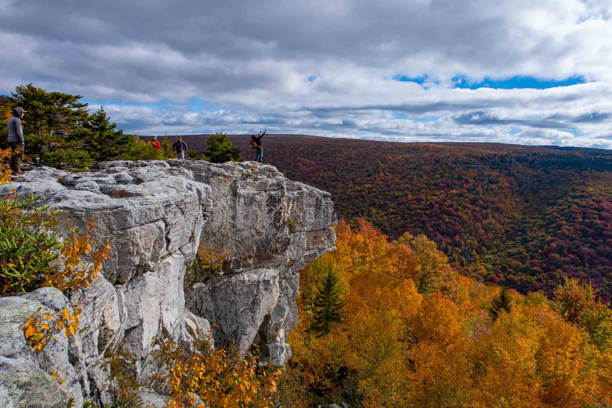Dolly Sods Wilderness Loop Backpacking Guide — Into the Backcountry - Dolly+SoDs+Lions+HeaD+Overlook