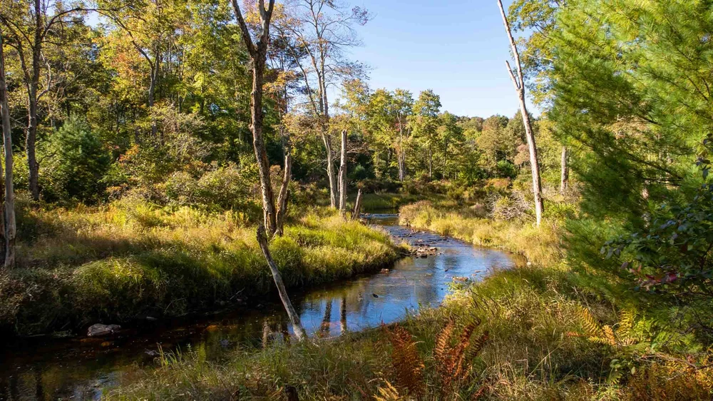 Pinchot Trail System Backpacking Guide — Into the Backcountry