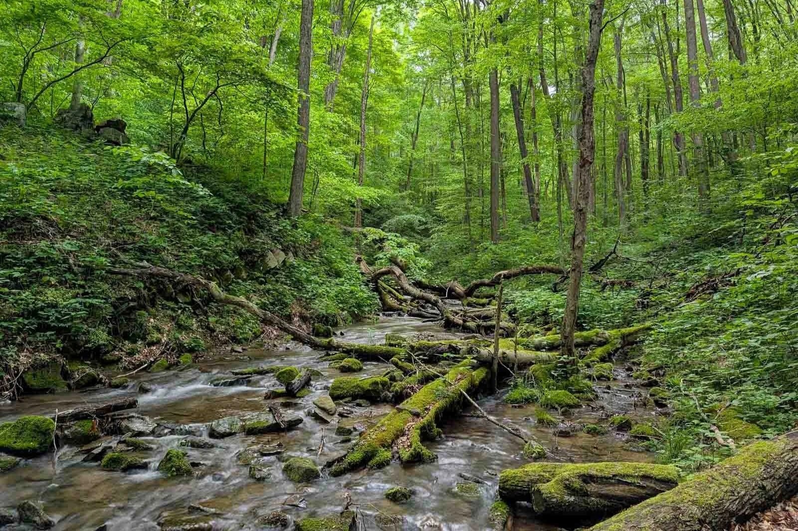 rock spring run along the laurel highlands hiking trail