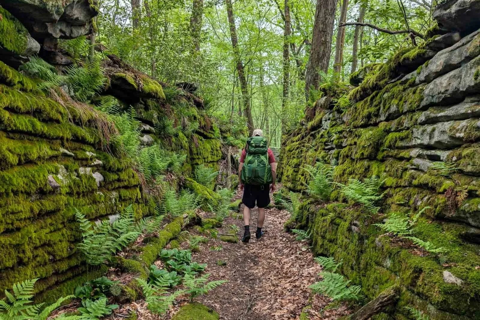 moss covered rock maze along the laurel highlands hiking trail