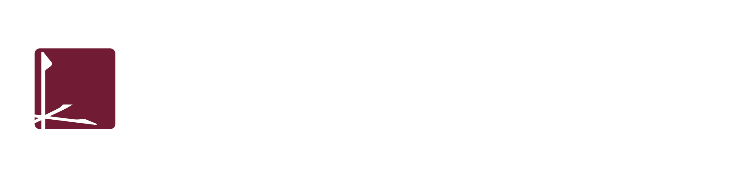 Continental Mapping Primary Logo with white font (the black polo logo)-0....png