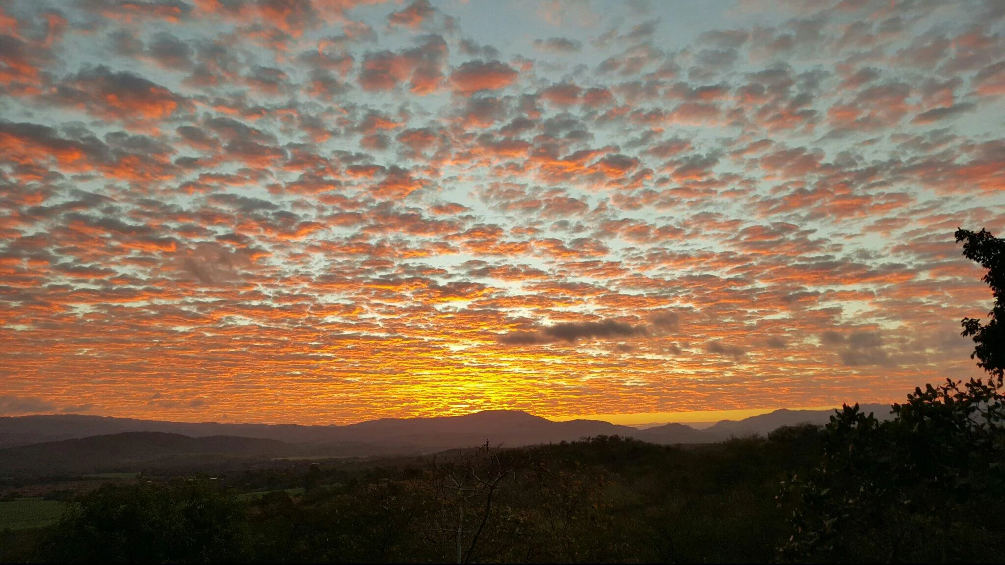 sunset.jpg