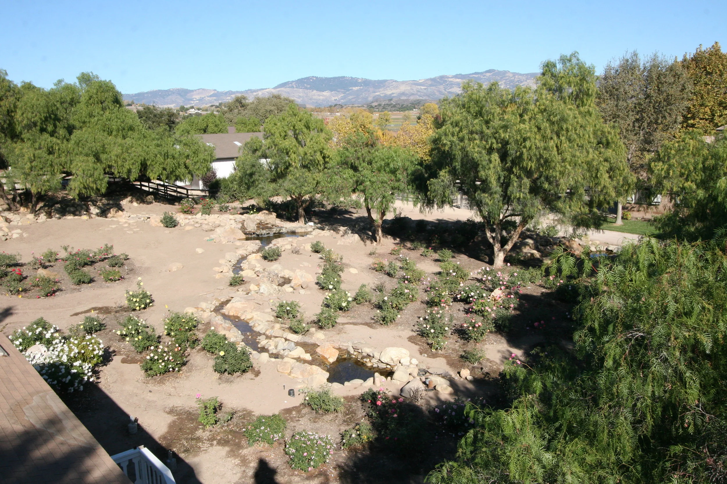 RoseGarden.JPG